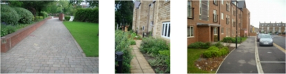 Communal Area Cleaning / Estate Maintenance