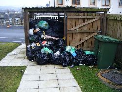 Photo of Rubbish